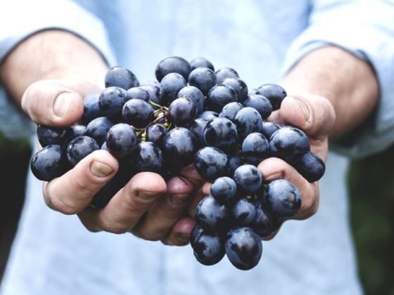7 razloga zašto trebamo jesti grožđe, suho grožđe, grožđice, zdrava alternativa, zdrava hrana, nutricionizam